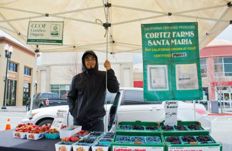 Cortez Farms B