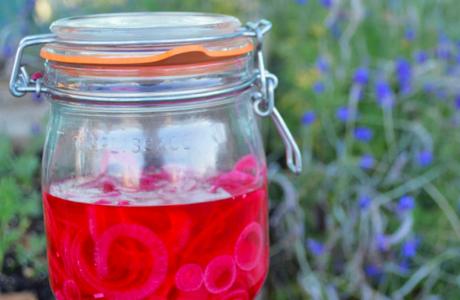 Pickled Onion
