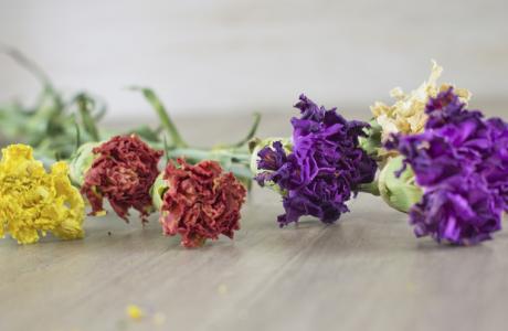 Dried flowers
