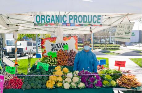 Ventana Organic Produce