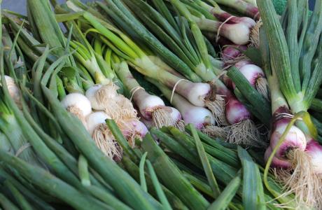 green garlic