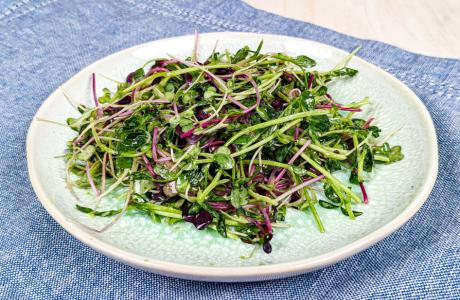 microgreens slaw