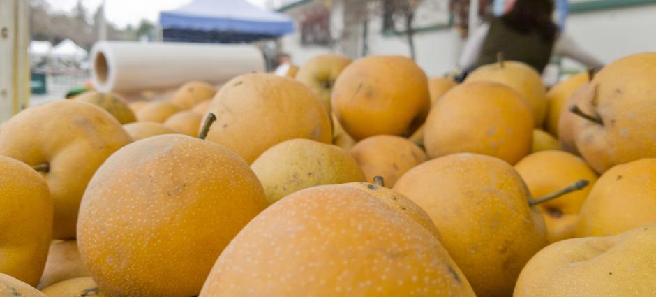 Taste of the Season | PCFMA