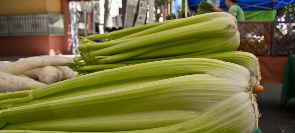 Celery (1)