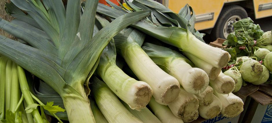 Leeks (1)