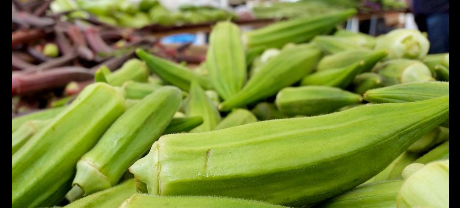 Okra (1)