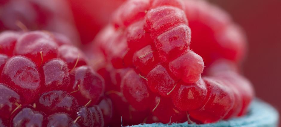 Raspberries (1)