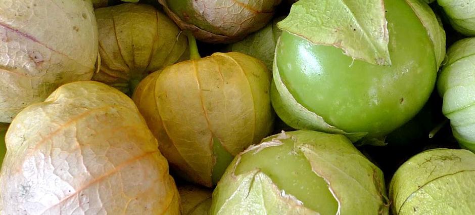 tomatillos