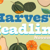oct harvest headline