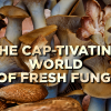 The Cap-tivating World of Fresh Fungi