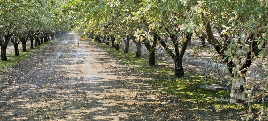 Allard-Farm Tour-8-7-18 (34)