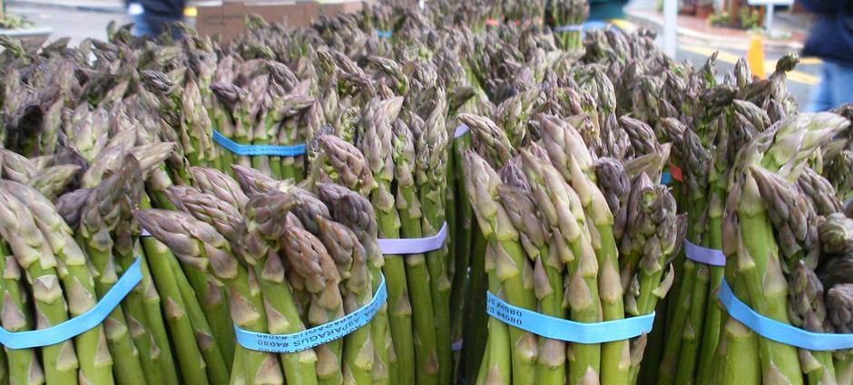 Asparagus (2)