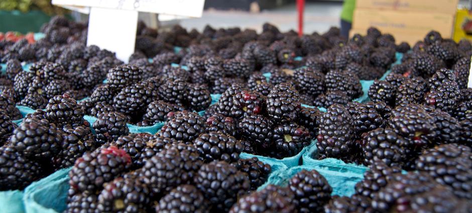 Blackberries (1)