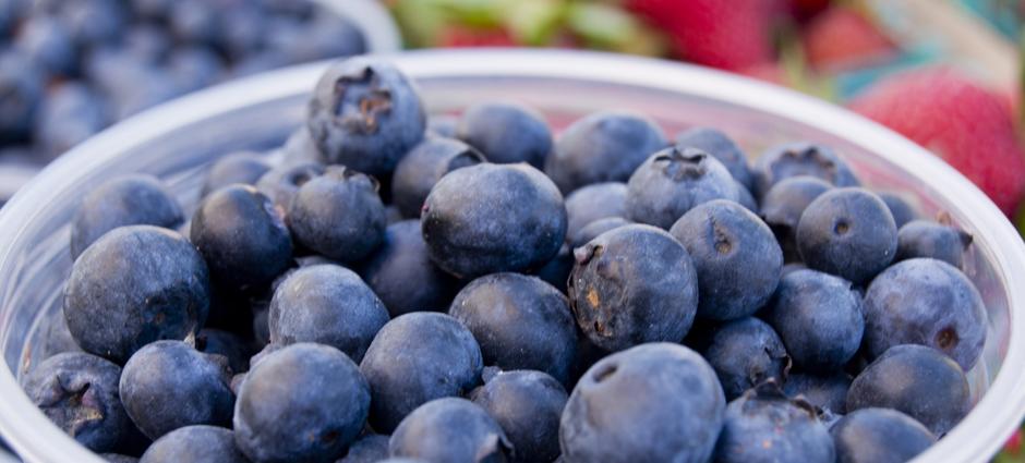 Blueberries (1)