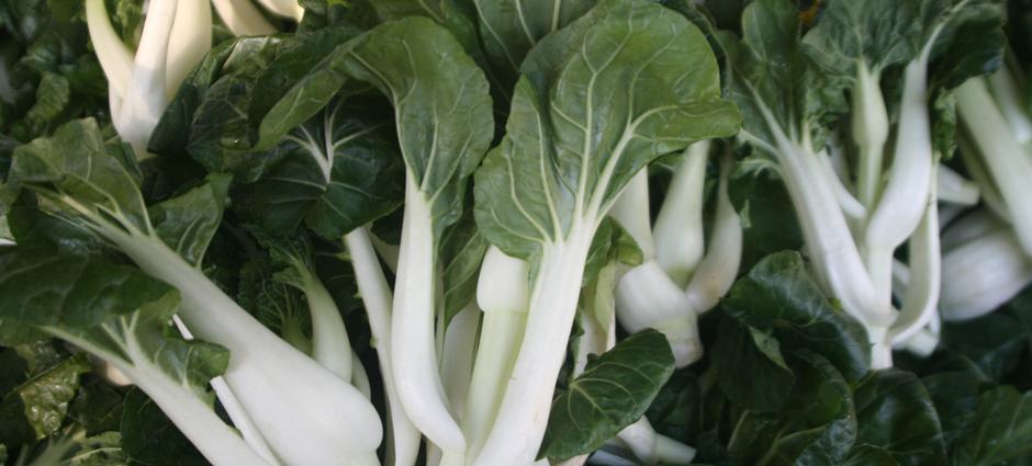 BokChoy (2)