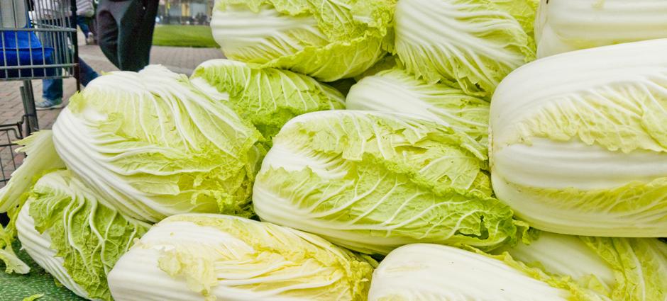 Cabbage (3)