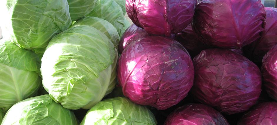 Cabbage | PCFMA