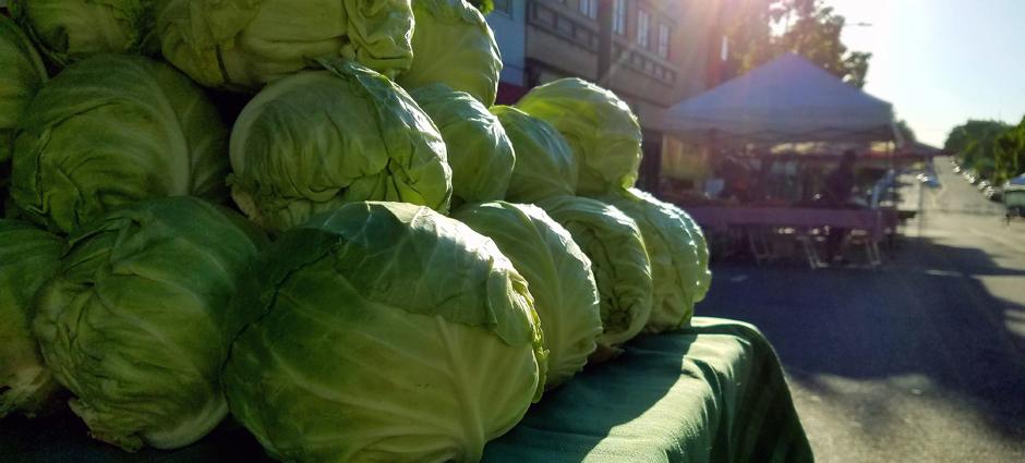 Cabbage | PCFMA