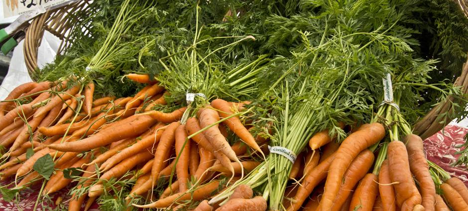 Carrots (4)