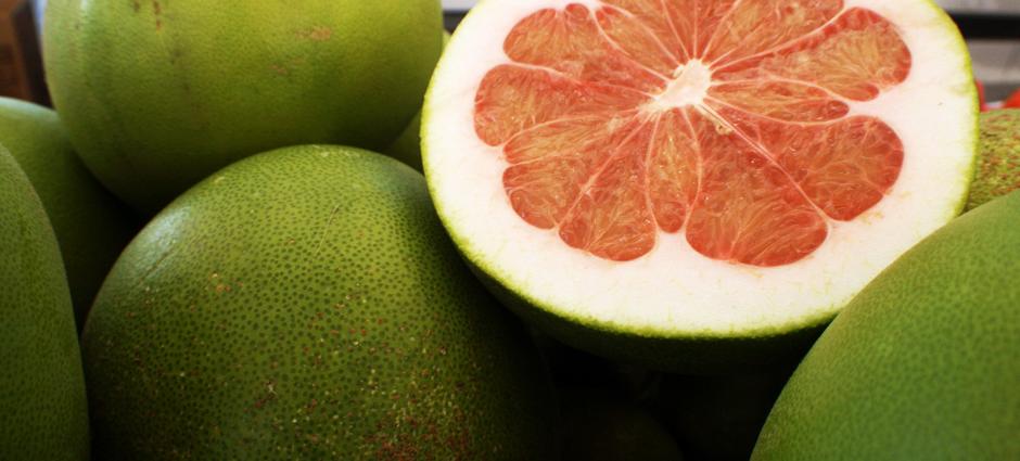 Citrus | PCFMA