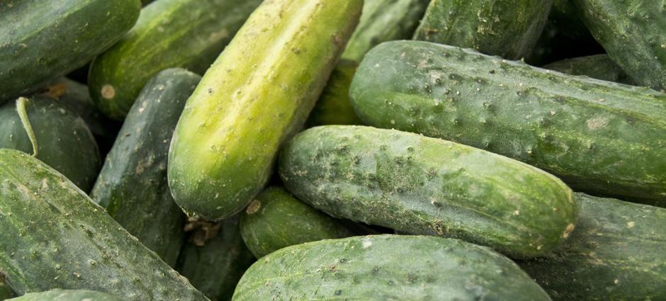 Cucumbers | PCFMA