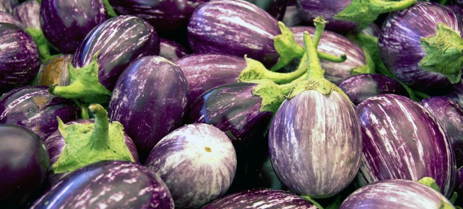 Eggplant (1)