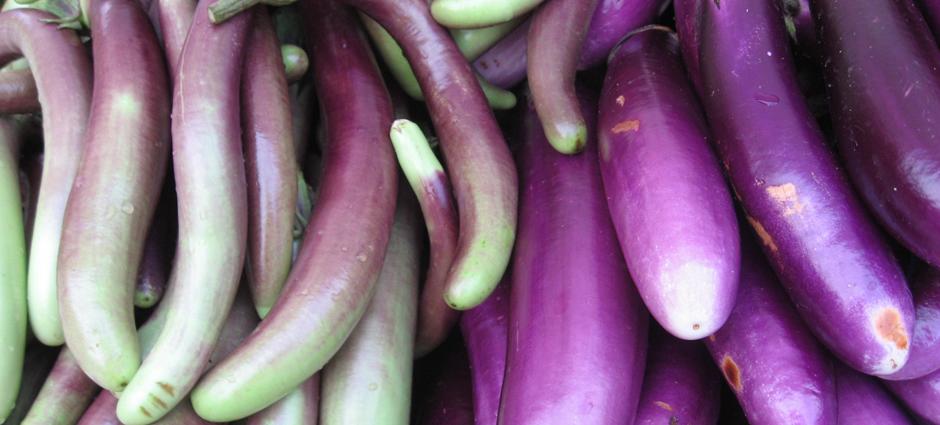 Eggplant (3)