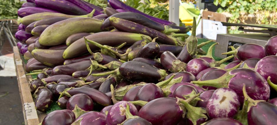 Eggplant (5)
