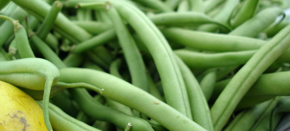 Green Beans (2)