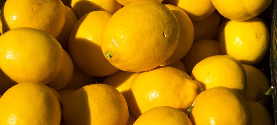 Lemons | PCFMA