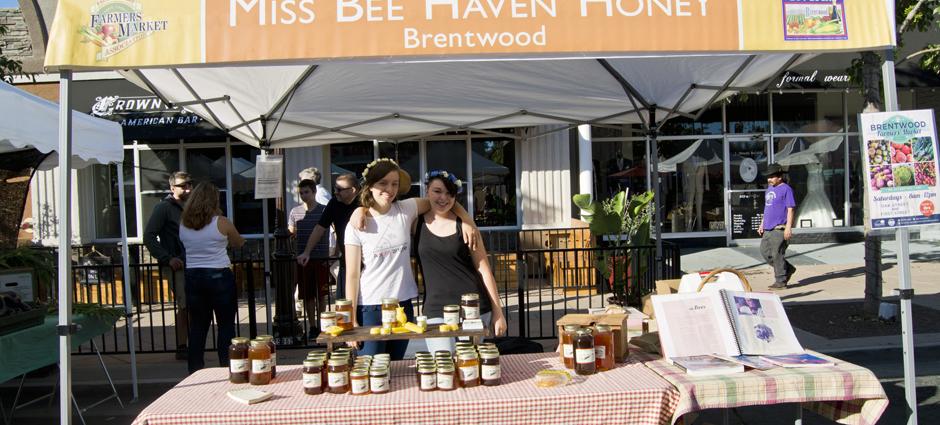 Miss Bee Haven Honey