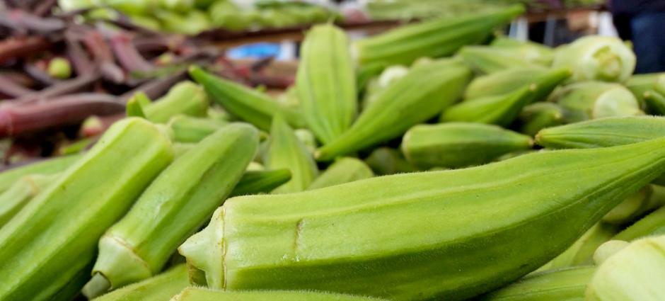 Okra (1)