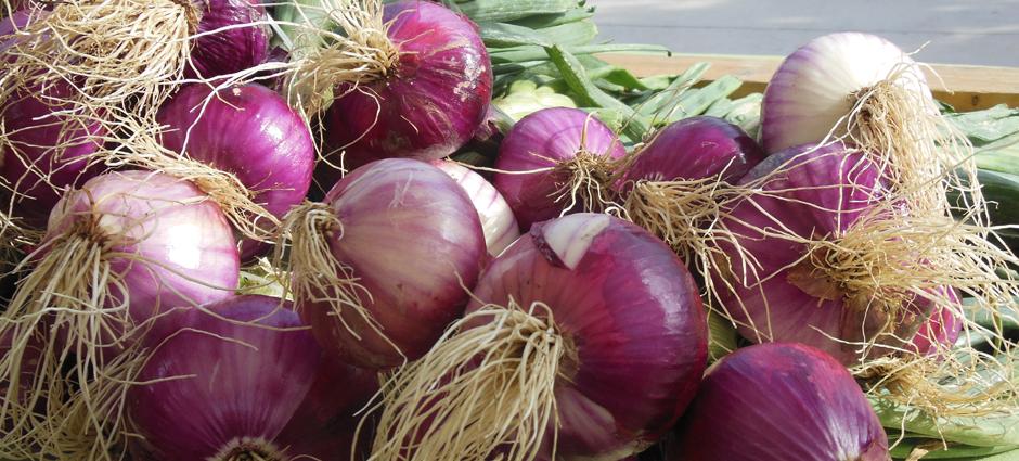 Onions (5)