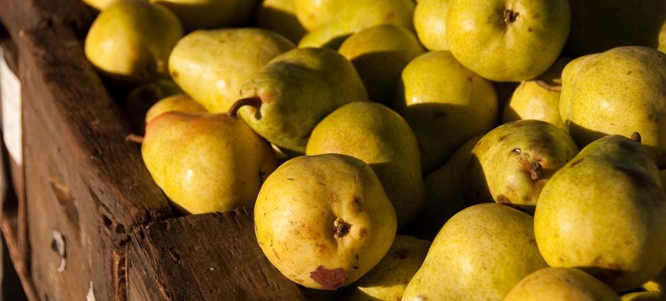 Pears (4)