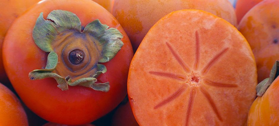 Persimmons | PCFMA