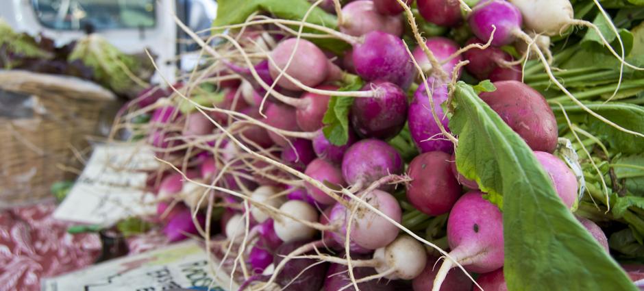 Radishes (4)