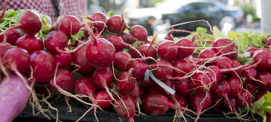 Radishes (5)