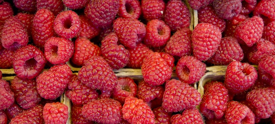 Raspberries (3)