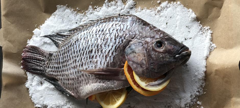 Salt Baked Tilapia