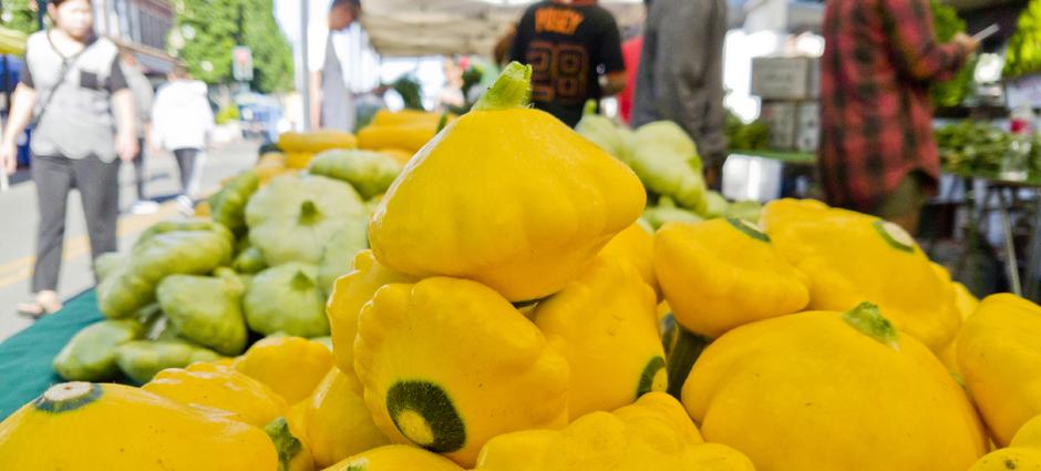 Summer Squash (2)