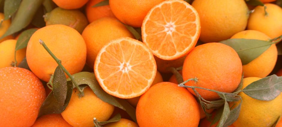 Tangerines (1)