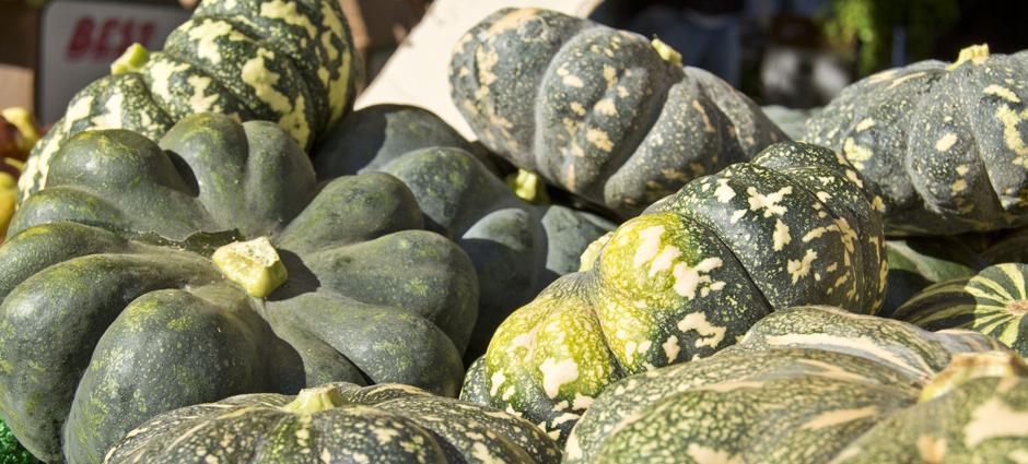 WinterSquash (3)