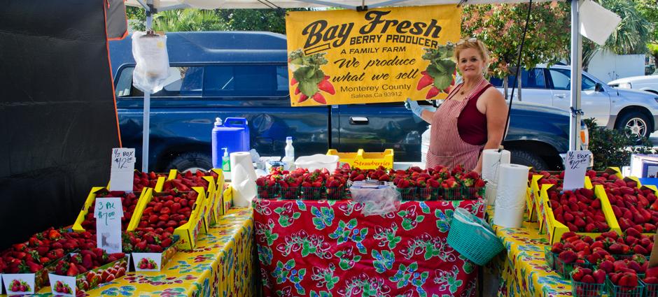 Bay Fresh Producer