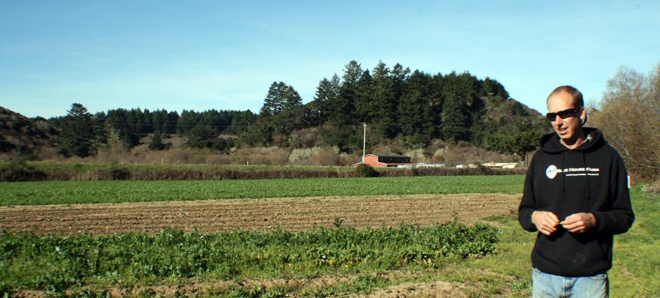 Blue House Farm