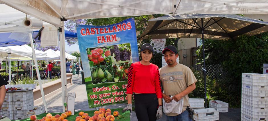 Castellanos Farms