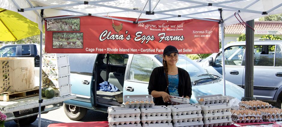 Clara's Egg Farm
