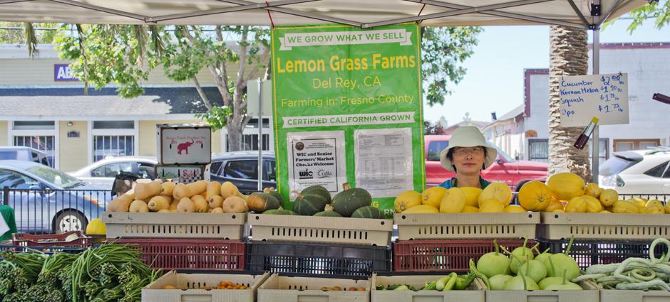 Lemon Grass Farms