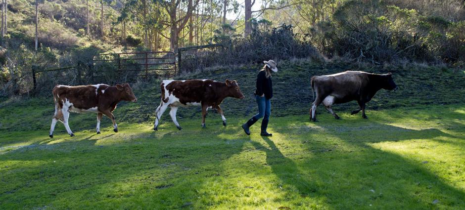 Markegard Family Grass-Fed