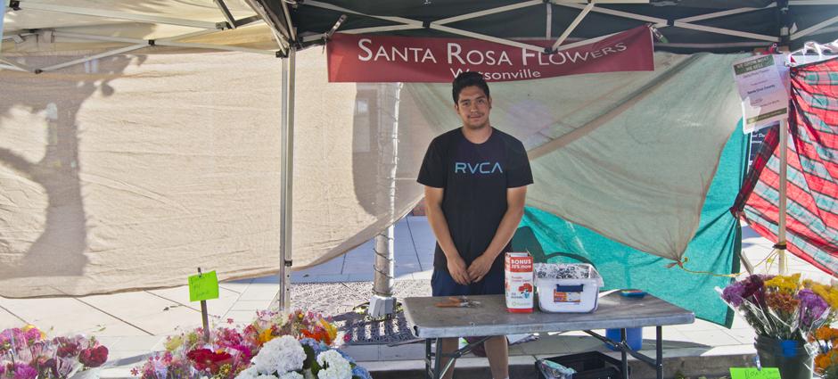 Santa Rosa Flowers