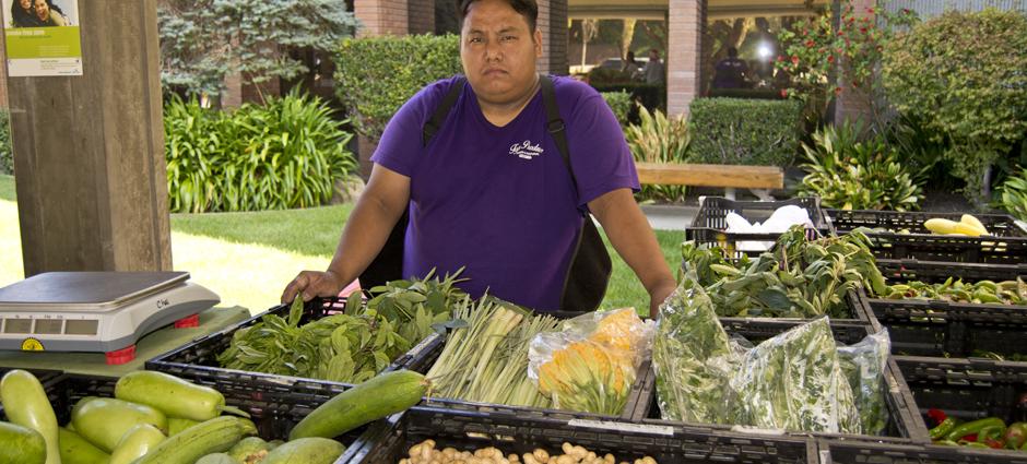 Top Produce